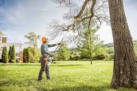 Professional Tree Services in Sykesville, MD